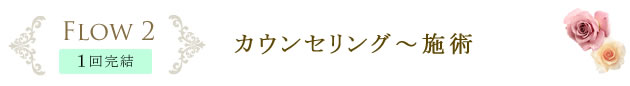 Flow2 1回完結　カウンセリング～施術