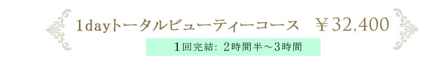 Flow2 1回完結　カウンセリング～施術