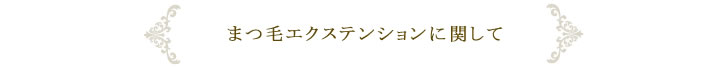 まつ毛エクステンションに関して