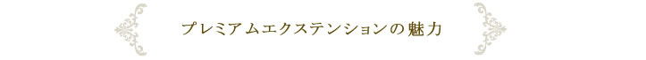 プレミアムエクステンションの魅力