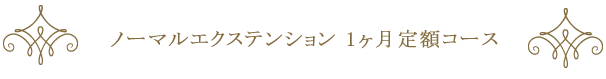 ノーマルエクステンション1ヶ月定額コース