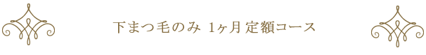 下まつ毛のみ1ヶ月定額コース